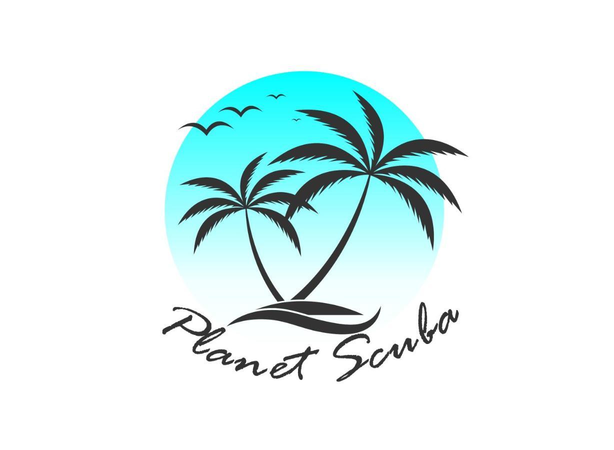 Planet Scuba Bed And Breakfast 蓬塔杜欧鲁 外观 照片