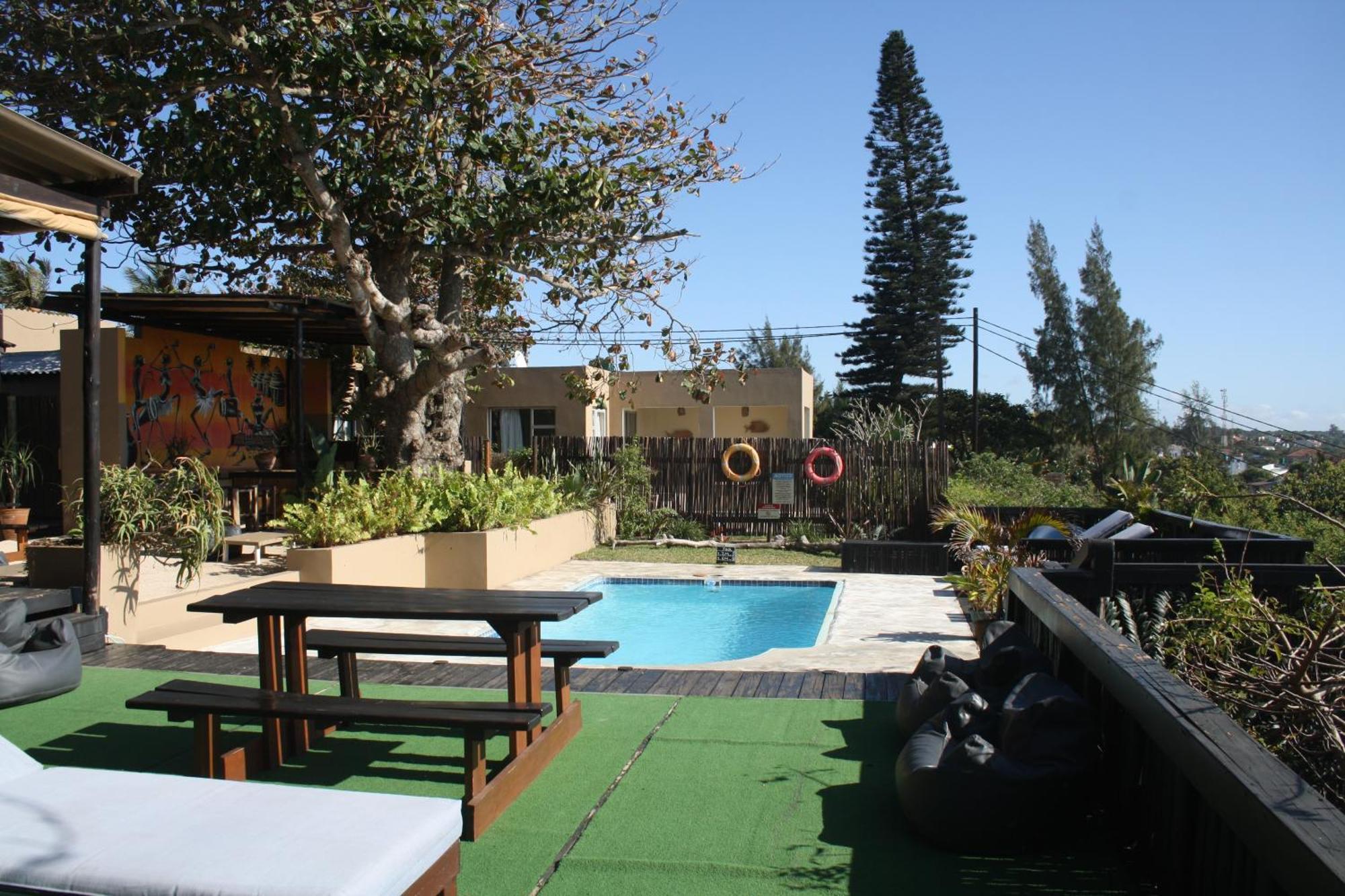Planet Scuba Bed And Breakfast 蓬塔杜欧鲁 外观 照片